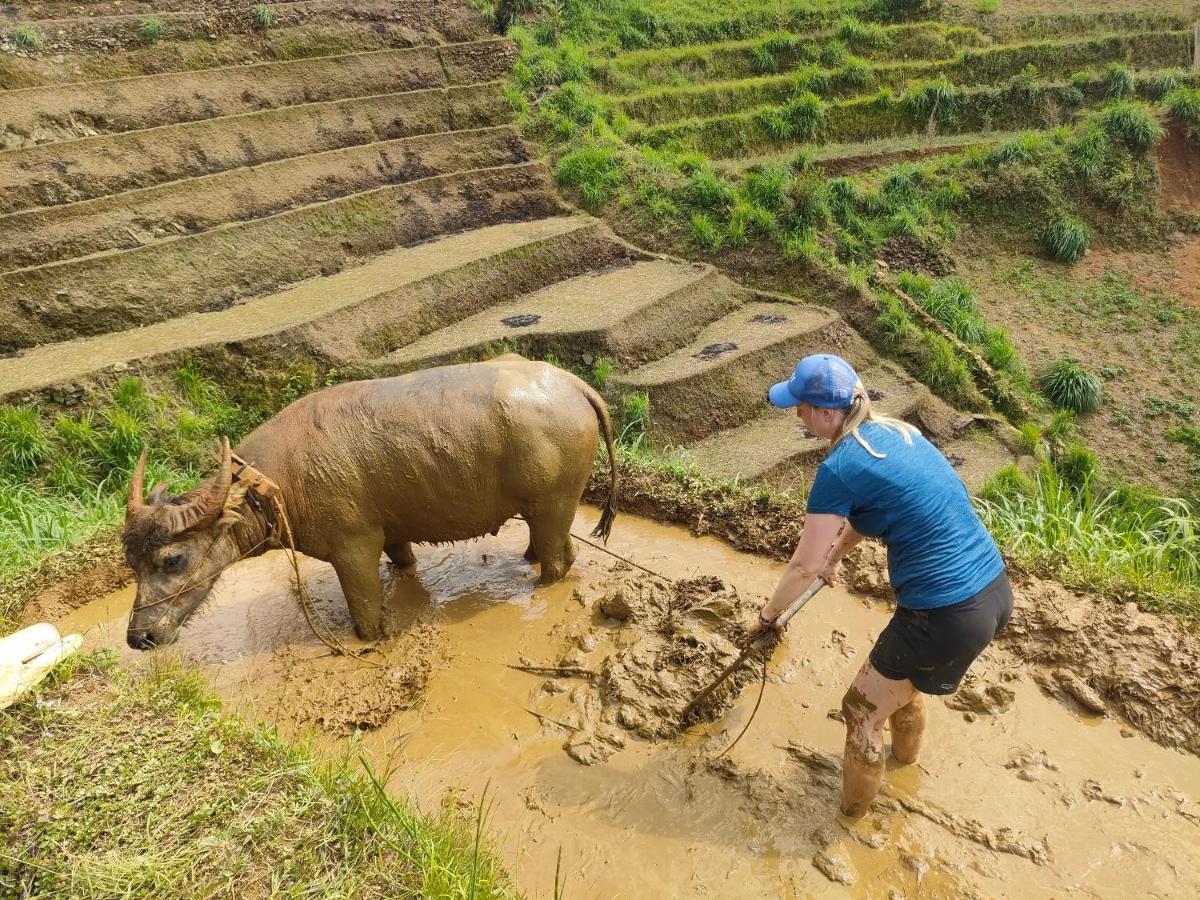 Indigenous Homestay- Trek- Food- Bus Mu Cang Chai Exterior foto