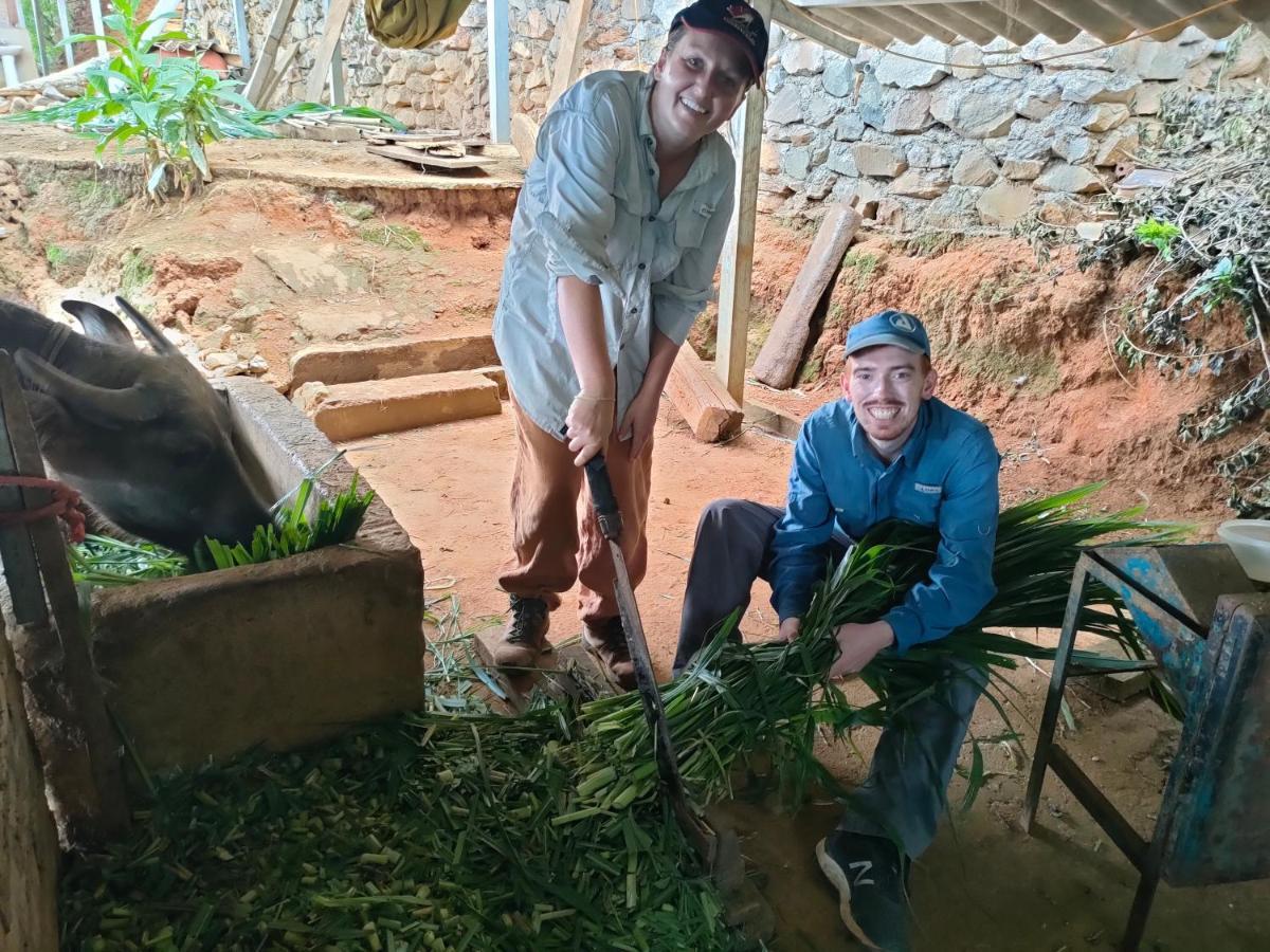 Indigenous Homestay- Trek- Food- Bus Mu Cang Chai Exterior foto