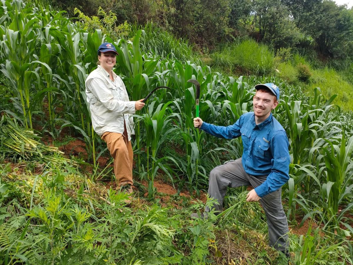 Indigenous Homestay- Trek- Food- Bus Mu Cang Chai Exterior foto