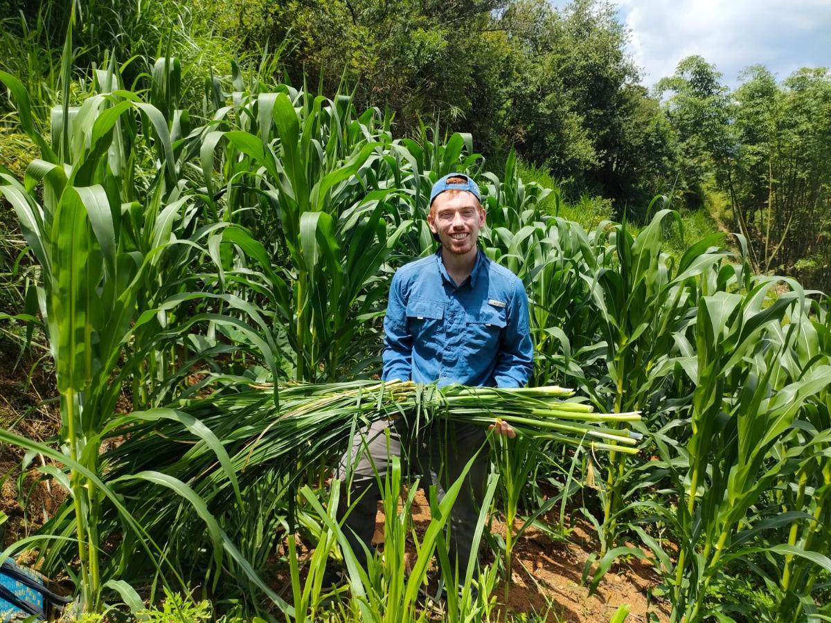 Indigenous Homestay- Trek- Food- Bus Mu Cang Chai Exterior foto