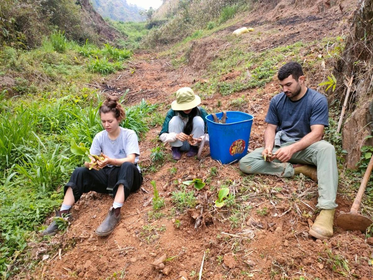 Indigenous Homestay- Trek- Food- Bus Mu Cang Chai Exterior foto