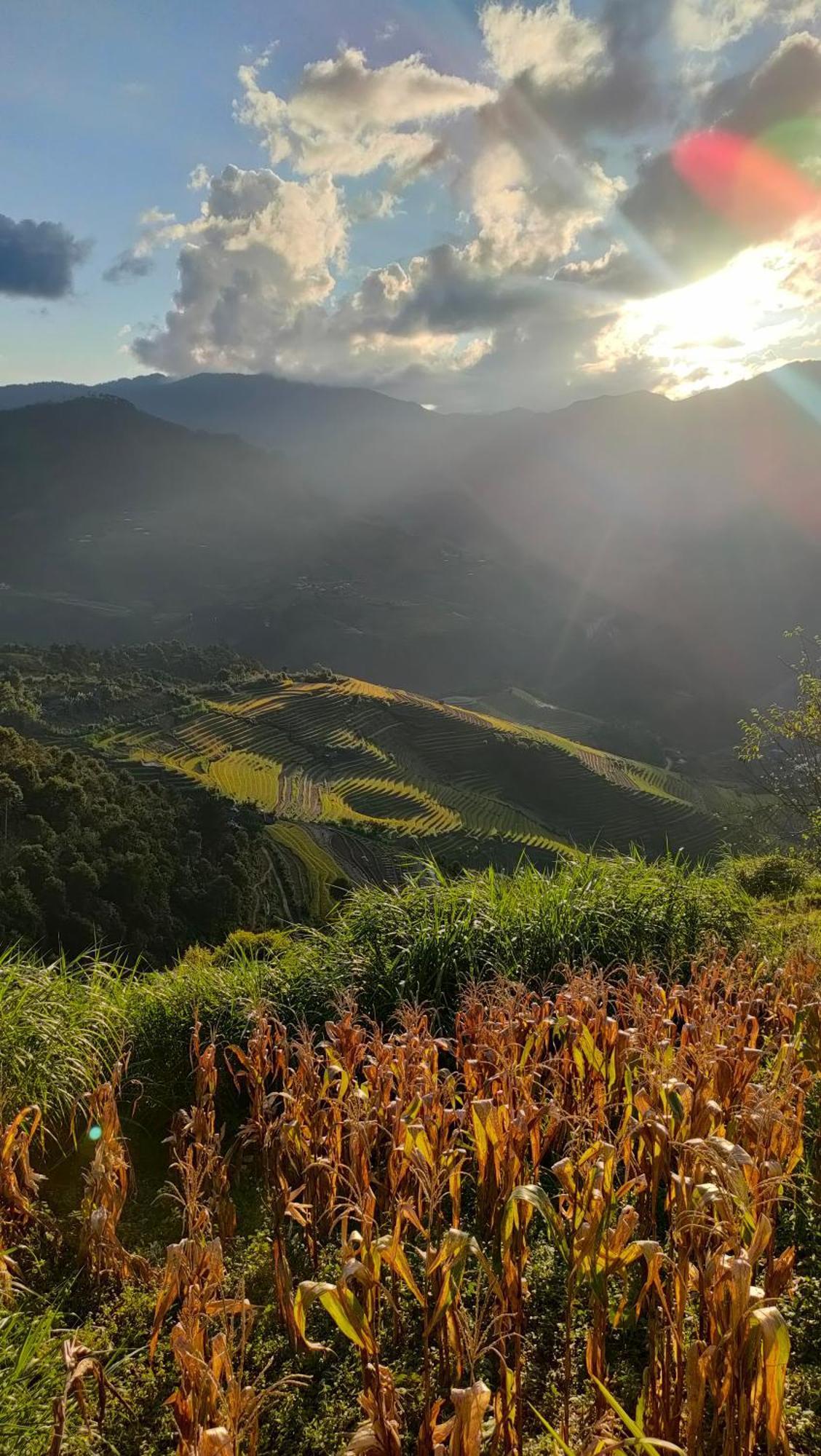 Indigenous Homestay- Trek- Food- Bus Mu Cang Chai Exterior foto