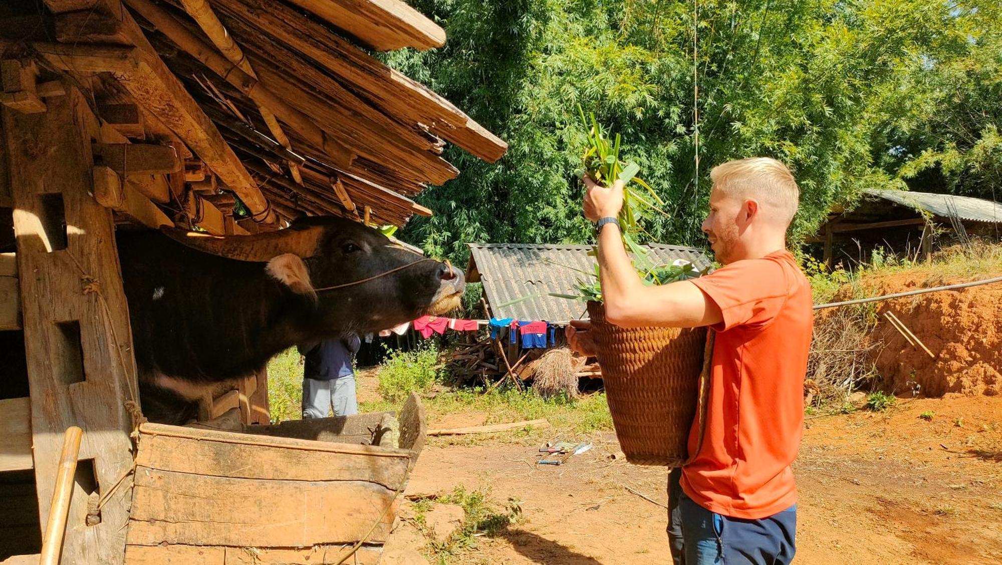 Indigenous Homestay- Trek- Food- Bus Mu Cang Chai Exterior foto